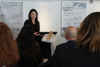 Agrandir l'image 9 sur 16, fenêtre modale