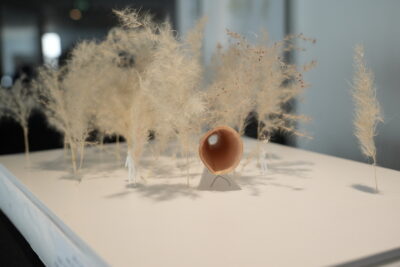 Agrandir l'image 13 sur 16, fenêtre modale