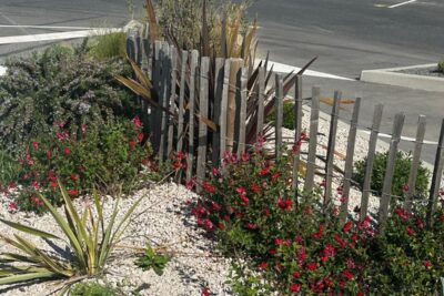 Agrandir l'image 1 sur 7, fenêtre modale