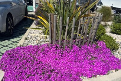 Agrandir l'image 4 sur 7, fenêtre modale