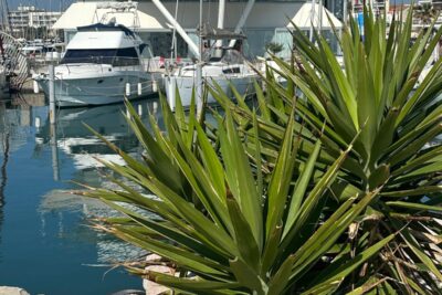 Agrandir l'image 5 sur 7, fenêtre modale