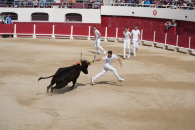 Agrandir l'image 23 sur 24, fenêtre modale