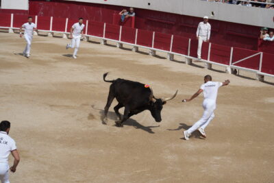 Agrandir l'image 24 sur 24, fenêtre modale