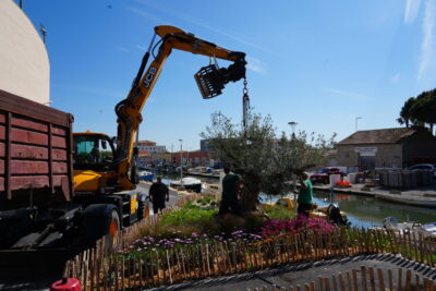 Agrandir l'image 3 sur 4, fenêtre modale