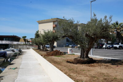 Agrandir l'image 1 sur 4, fenêtre modale