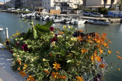 Agrandir l'image 1 sur 9, fenêtre modale