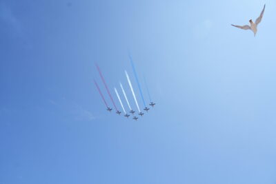 Agrandir l'image 19 sur 44, fenêtre modale