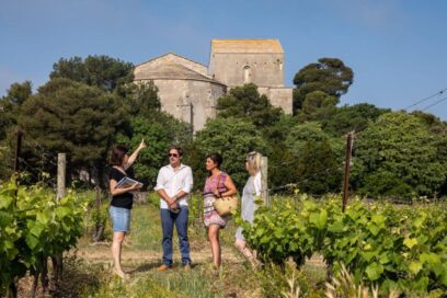 Affiche Dégustation au cœur des vignes - Agrandir l'image, fenêtre modale