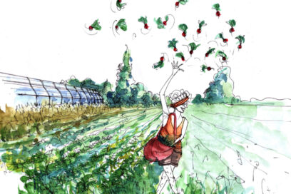 Agrandir l'image, fenêtre modale