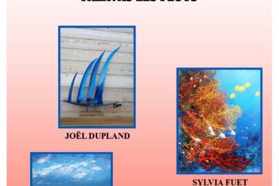 Agrandir l'image, fenêtre modale