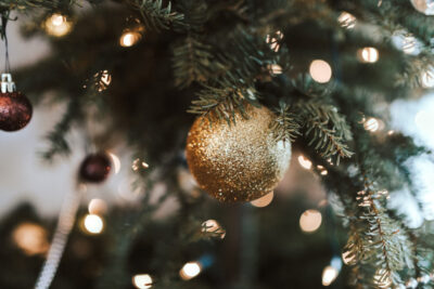 Agrandir l'image 1 sur 1, fenêtre modale