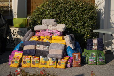 Agrandir l'image 17 sur 18, fenêtre modale