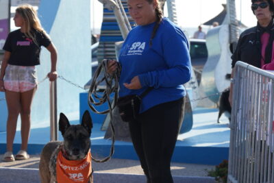 Agrandir l'image 10 sur 18, fenêtre modale