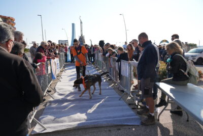 Agrandir l'image 7 sur 18, fenêtre modale