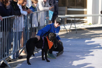 Agrandir l'image 5 sur 18, fenêtre modale