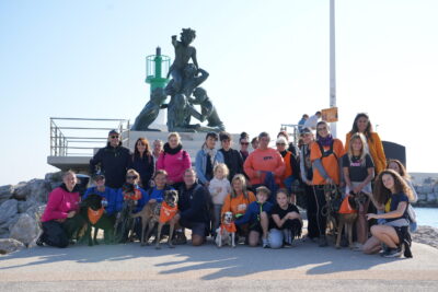 Agrandir l'image 2 sur 18, fenêtre modale