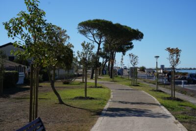 Agrandir l'image 1 sur 3, fenêtre modale