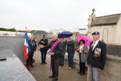 Agrandir l'image 1 sur 3, fenêtre modale