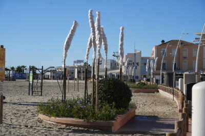 Agrandir l'image 3 sur 3, fenêtre modale